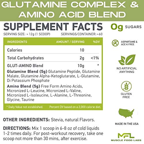 MFL GLUT-AMINO